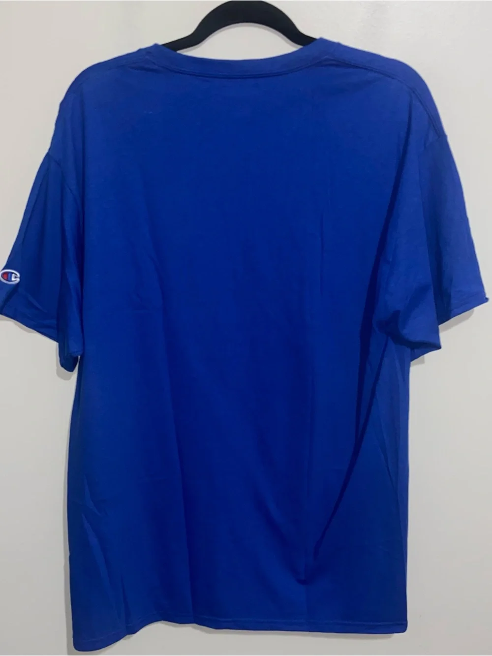Champion Shirt Mens Large Florida Gulf Coast FGCU Eagles Blue Short Sleeve - Picture 7 of 12